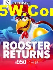 Crash Games Statistics 950Bet